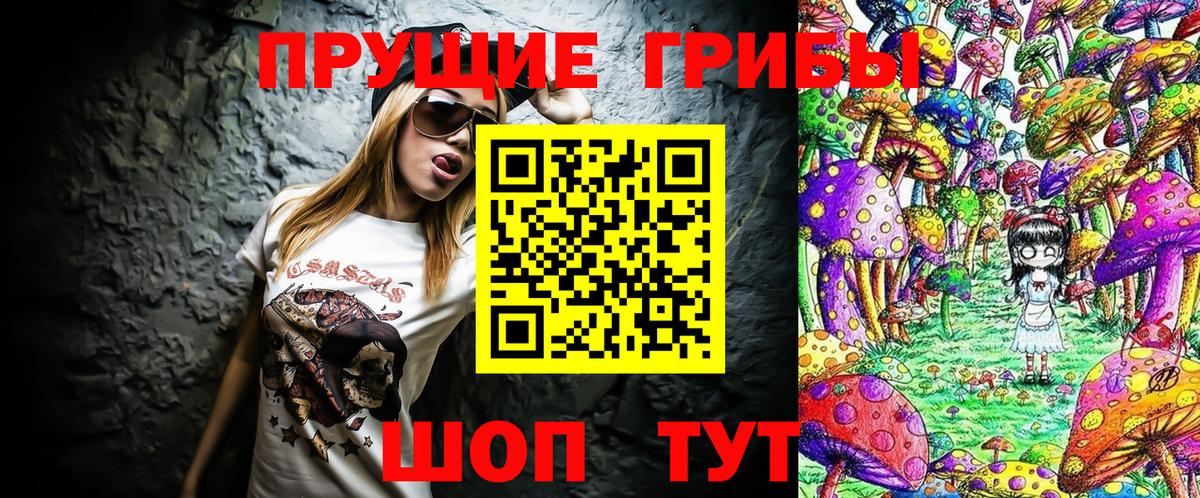 Галлюциногенные грибы GOLDEN TEACHER  Псилоцибиновые грибы мицелий  Грозный  Вход с VPN 