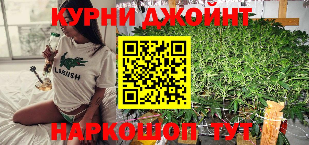 Конопля OG Kush Грозный